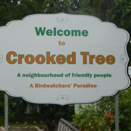 Crooked Tree Becks Bed & Breakfast מראה חיצוני תמונה