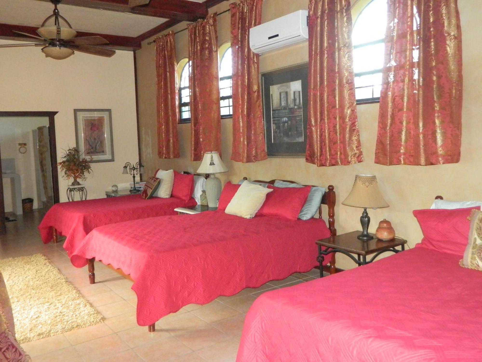 Crooked Tree Becks Bed & Breakfast חדר תמונה