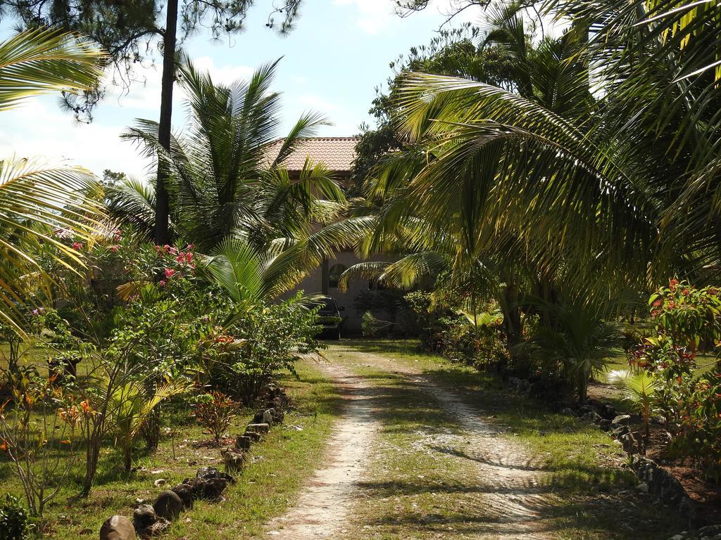 Crooked Tree Becks Bed & Breakfast מראה חיצוני תמונה