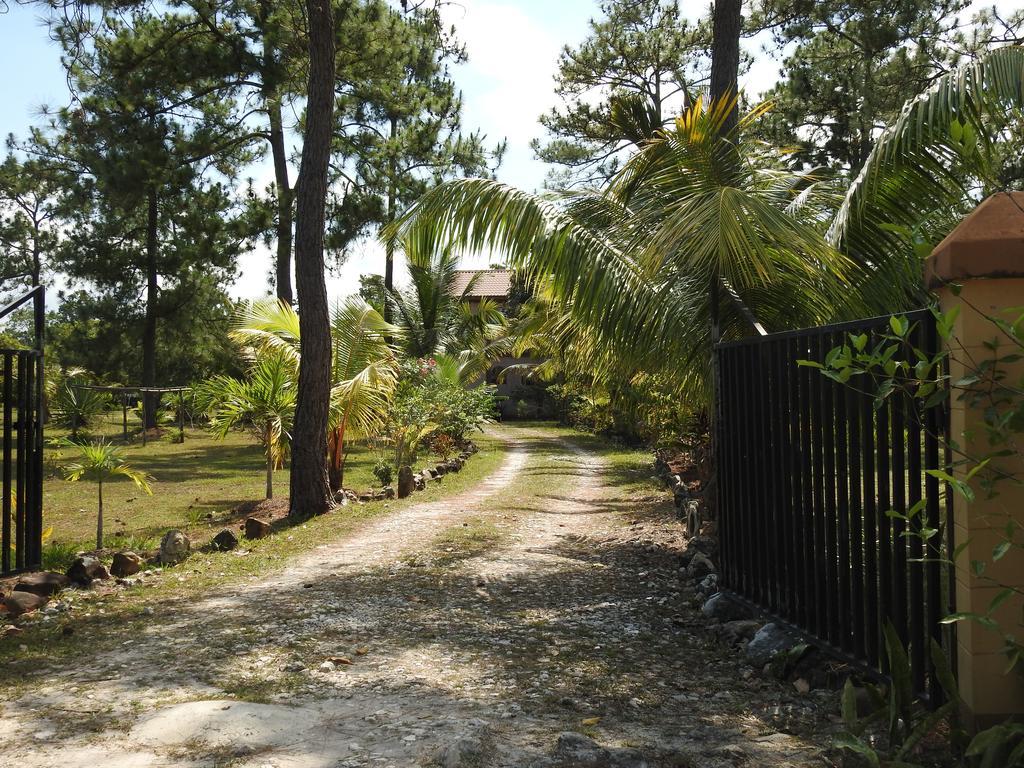 Crooked Tree Becks Bed & Breakfast מראה חיצוני תמונה