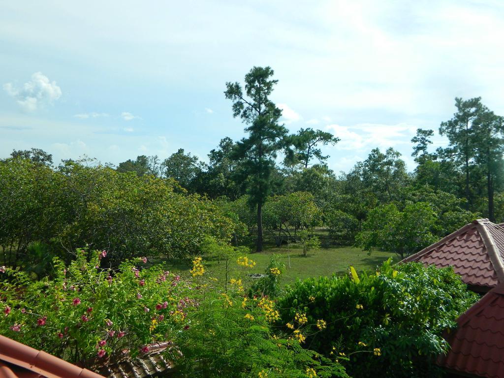 Crooked Tree Becks Bed & Breakfast מראה חיצוני תמונה