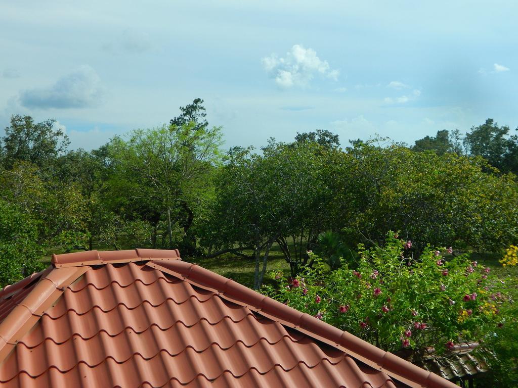 Crooked Tree Becks Bed & Breakfast מראה חיצוני תמונה