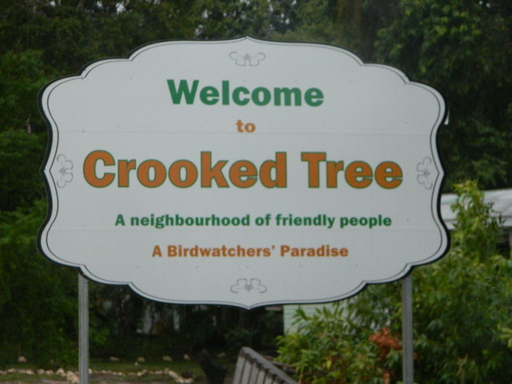 Crooked Tree Becks Bed & Breakfast מראה חיצוני תמונה