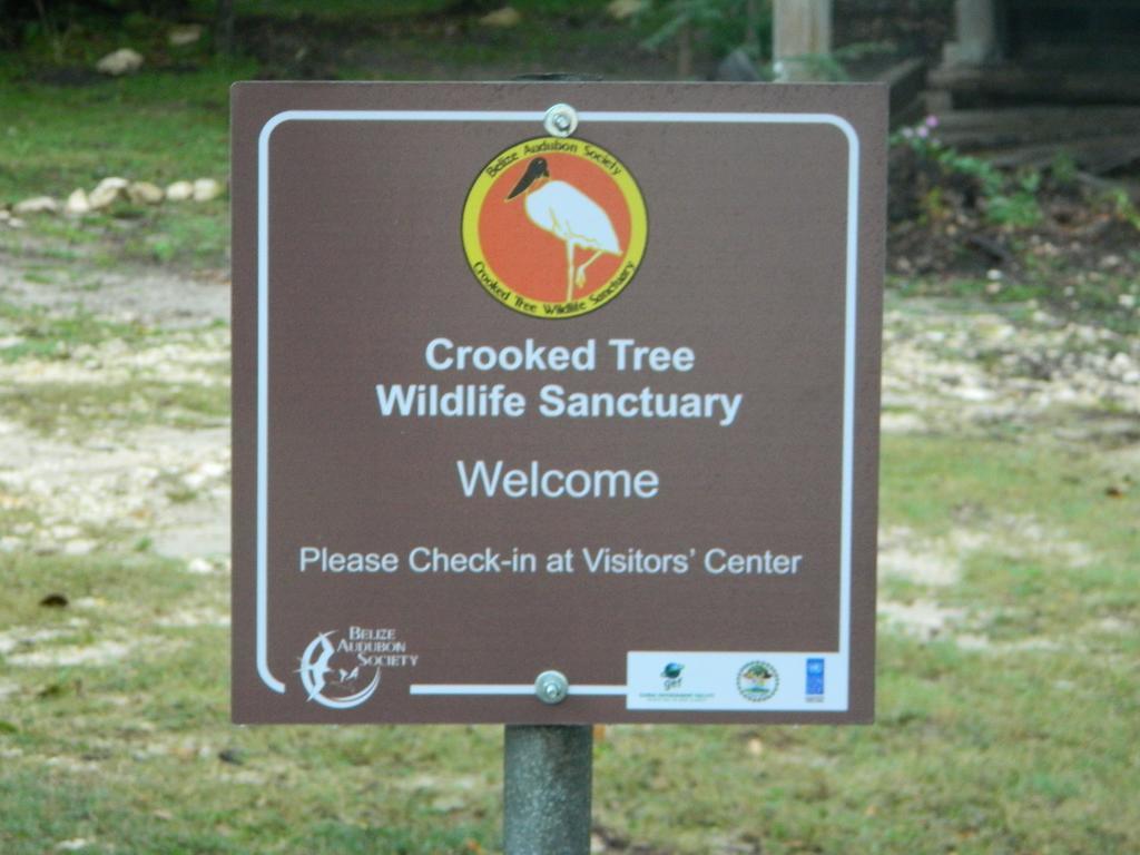 Crooked Tree Becks Bed & Breakfast מראה חיצוני תמונה