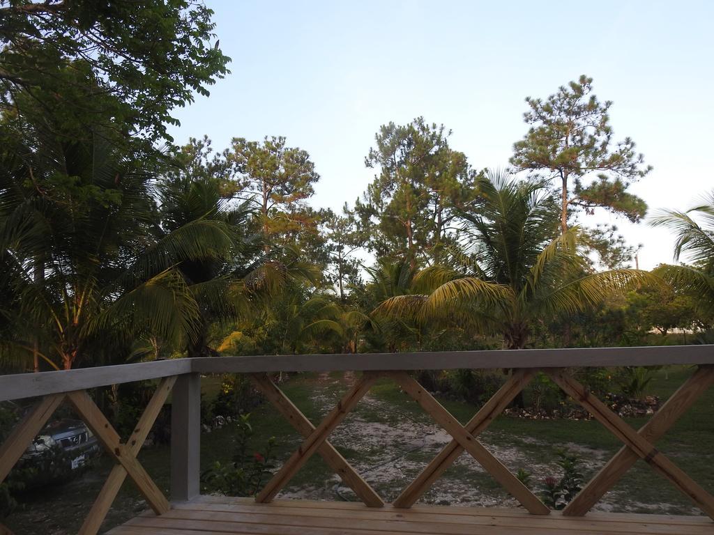 Crooked Tree Becks Bed & Breakfast מראה חיצוני תמונה